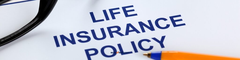 Tips for Choosing the Ideal Life Insurance Policy